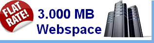 Webspace mit 3000 MB Speicherplatz und Traffic free Fair use.